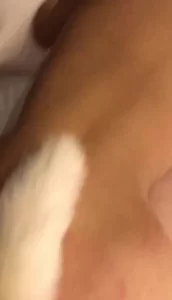 杨敏思1一5集未删减版小说