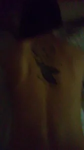 佳期如梦txt下载